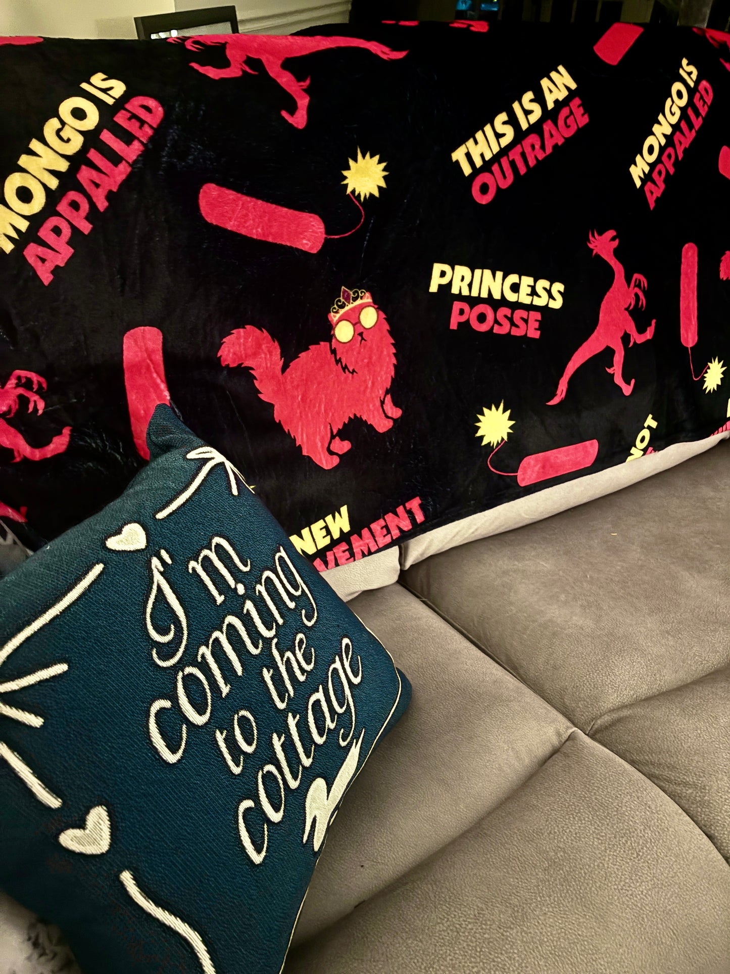 Dungeon Crawler Carl Plush Blanket | DCC Merch